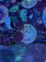IMG_5191.jpeg