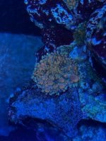 IMG_5183.jpeg