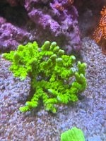 IMG_0694.jpeg