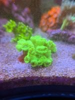 IMG_0695.jpeg