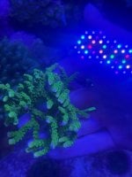 IMG_0683.jpeg