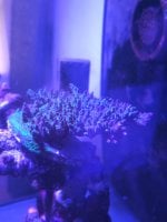 20260607_105551.jpg