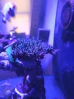 20260607_105538.jpg