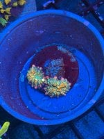 IMG_7577.jpeg