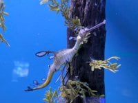 PXL_20260607_224626442.jpg