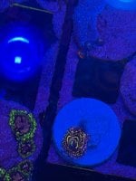 IMG_0263.jpeg