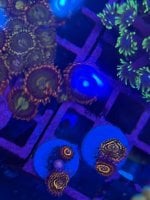 IMG_0258.jpeg