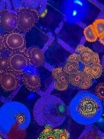 IMG_0257.jpeg