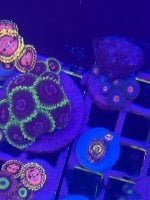 IMG_0256.jpeg