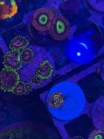 IMG_0255.jpeg