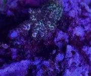 IMG_4260.jpeg