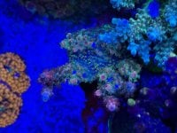 IMG_0186.jpeg