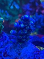 IMG_0277.jpeg