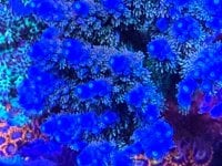 IMG_0188.jpeg