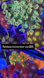 B6EBF731-5191-4B3E-88FD-589A97FFFCCF.jpeg