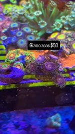 0CB9B7FD-2DF0-4326-9EE1-8C650F9635C7.jpeg