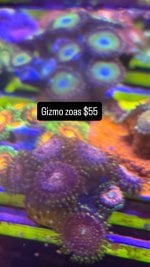 367C7924-5AA9-476C-9751-01EC140BD022.jpeg
