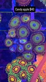 E4A2895E-B8A7-4240-9B4A-EE3FA49D4D07.jpeg