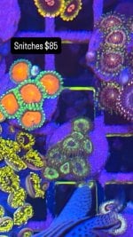 7B24F37C-863D-498A-BE0C-8EE7286EAC31.jpeg