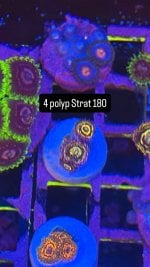 F585E0C9-0356-42B3-813D-69471AB24049.jpeg