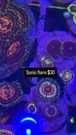 B597CF6D-4475-426C-9D2E-BF50D64B356A.jpeg