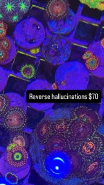 D98EA81D-9D7F-40BC-8536-614C4B4CE067.jpeg