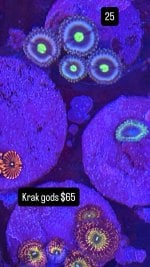 5239CB07-4B87-46A3-AC64-4C94D46F3295.jpeg