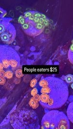 42934696-C3D1-49C7-9A71-C782F2D34D9E.jpeg