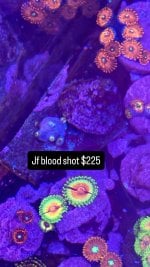 FFEC5F1F-7368-438F-89F6-BB31F8AD9367.jpeg