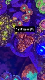 5407BE0C-66E0-4F28-9144-297101F55C6C.jpeg
