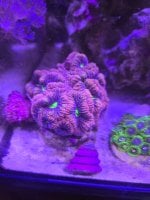 20260615_133352.jpg