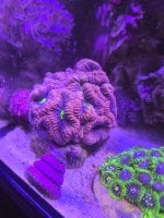 20260615_133404.jpg