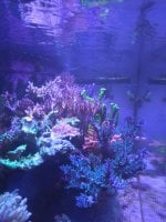 20260616_205952.jpg