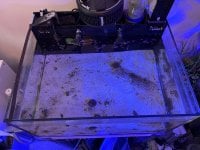 IMG_2715.jpeg