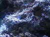 IMG_6123small.JPG