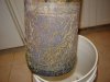 dsc04192.jpg