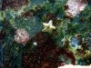 dsc04296.jpg