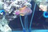 100_2069.JPG