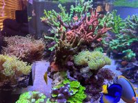 IMG_2202.jpeg