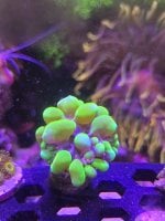 20260624_185726.jpg