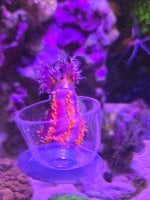 20260624_185739.jpg