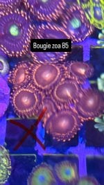 E1E1A318-6C56-43E8-91E0-787C63AEBC64.jpeg