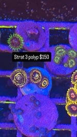 0055A83D-8FE7-4F53-A1C9-7642C0743CC3.jpeg