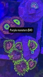 BB0E774F-73DC-4949-8268-70706243F19F.jpeg