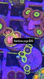 71EEB9CB-EFF0-4316-90FB-860FE4B0A50E.jpeg