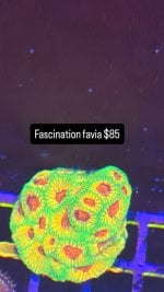 EBFA3727-1544-480A-831A-D24EB2BD7112.jpeg