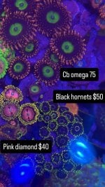 860B89C9-37A1-401F-BEC4-C54ED74EAEBB.jpeg