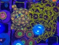IMG_0682.jpeg