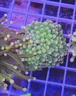 IMG_0716.jpeg