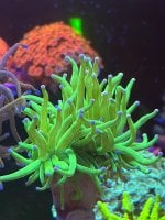 IMG_0856.jpeg